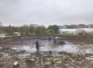 兰州河道鱼塘清淤